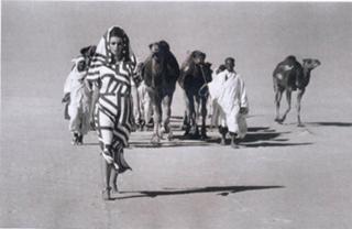 Veruschka von Lehndorff feet photo 15