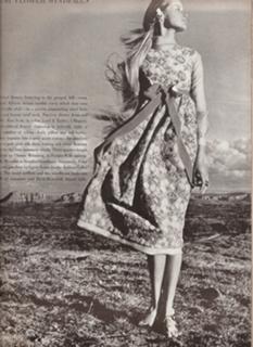 Veruschka von Lehndorff feet photo 14