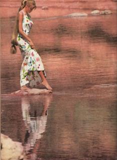 Veruschka von Lehndorff feet photo 5
