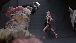 Veruschka von Lehndorff feet photo 11