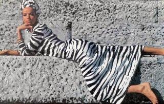 Veruschka von Lehndorff feet photo 1