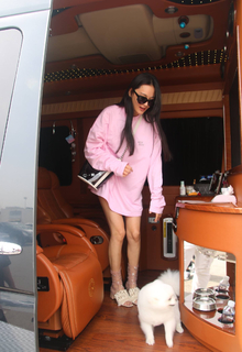 Viann Zhang feet photo 14