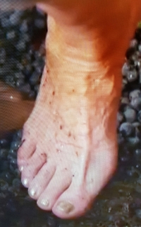 Vicki Michelle feet photo 9