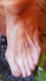 Vicki Michelle feet photo 8