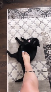 Victoria Baldesarra feet photo 3