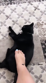Victoria Baldesarra feet photo 1