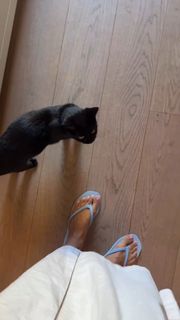 Victoria Bonya feet photo thumbnail