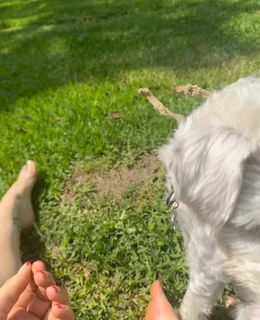 Victoria Gonzalez feet photo thumbnail