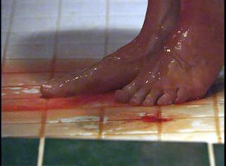 Victoria Pratt feet photo 16