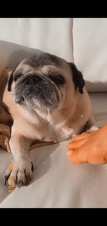 Victoria Silvstedt feet photo thumbnail