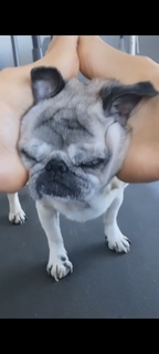 Victoria Silvstedt feet photo thumbnail