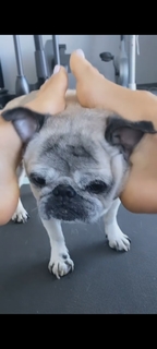 Victoria Silvstedt feet photo thumbnail