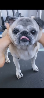 Victoria Silvstedt feet photo thumbnail