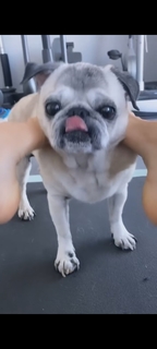 Victoria Silvstedt feet photo thumbnail