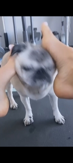 Victoria Silvstedt feet photo thumbnail