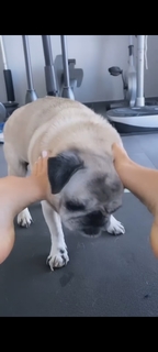 Victoria Silvstedt feet photo thumbnail