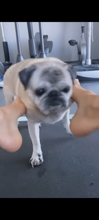 Victoria Silvstedt feet photo thumbnail