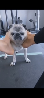 Victoria Silvstedt feet photo thumbnail