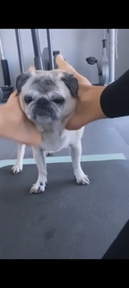 Victoria Silvstedt feet photo thumbnail