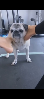 Victoria Silvstedt feet photo thumbnail