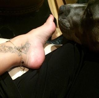 Vida Guerra feet photo thumbnail