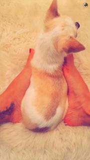 Vida Guerra feet photo thumbnail