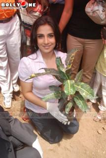 Vidya Balan feet photo thumbnail