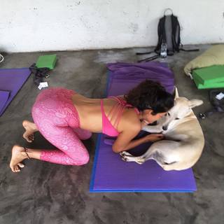 Vidya Malvade feet photo 19