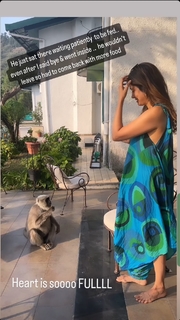 Vidya Malvade feet photo 17