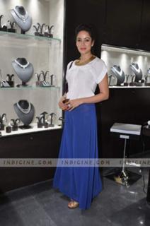 Vidya Malvade feet photo 5