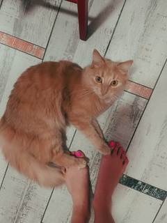 Vika Kisimyaka feet photo 11