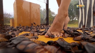 Viki Odintcova feet photo thumbnail