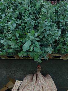 Viktoriya Agalakova feet photo 4