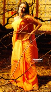 Vimala Raman feet photo 16
