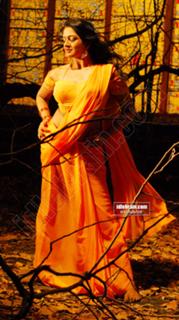 Vimala Raman feet photo 14