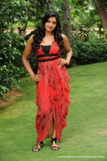 Vimala Raman feet photo 18