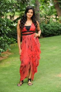 Vimala Raman feet photo 13