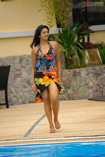 Vimala Raman feet photo 18