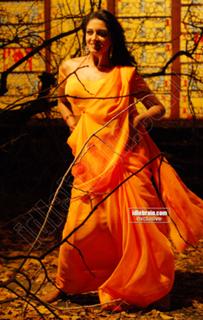 Vimala Raman feet photo 3