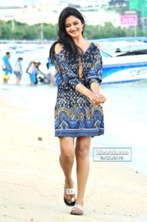 Vimala Raman feet photo 18