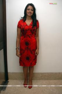 Vimala Raman feet photo 7