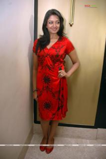 Vimala Raman feet photo 4