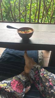 Violetta Komyshan feet photo 12