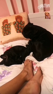 Virginia Dikaioulia feet photo 9