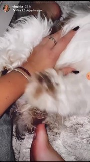 Virginia Fonseca feet photo thumbnail