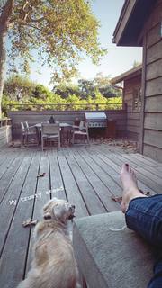 Virginia Gardner feet photo thumbnail