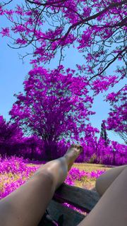 Virginia Tomarchio feet photo 19