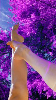 Virginia Tomarchio feet photo 15