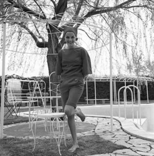 Virna Lisi feet photo 18
