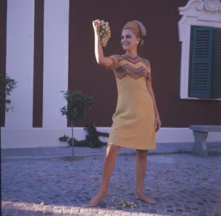 Virna Lisi feet photo 7